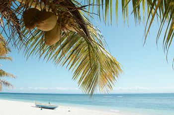 Viajeros en Madagascar